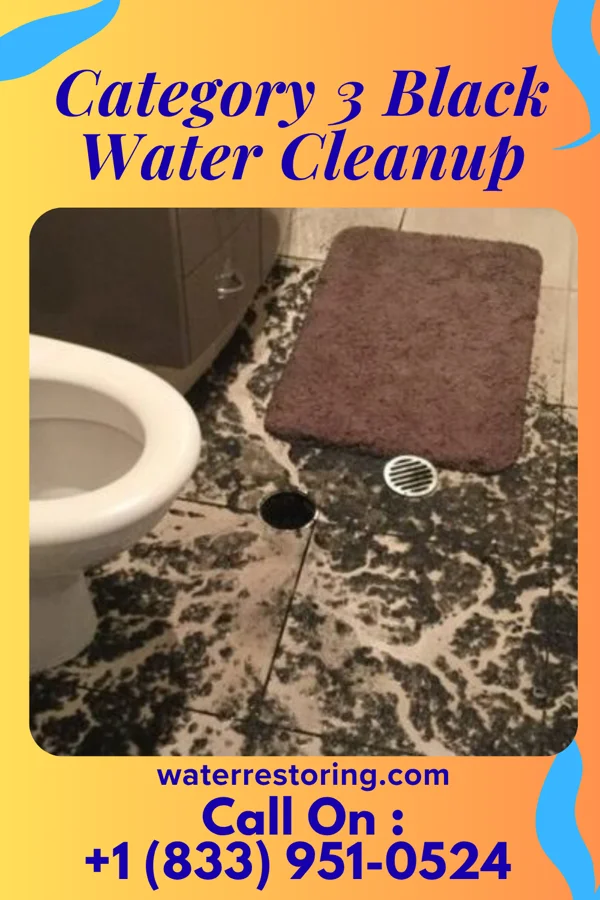 Category 3 Black Water Cleanup in Glenn Springs, SC