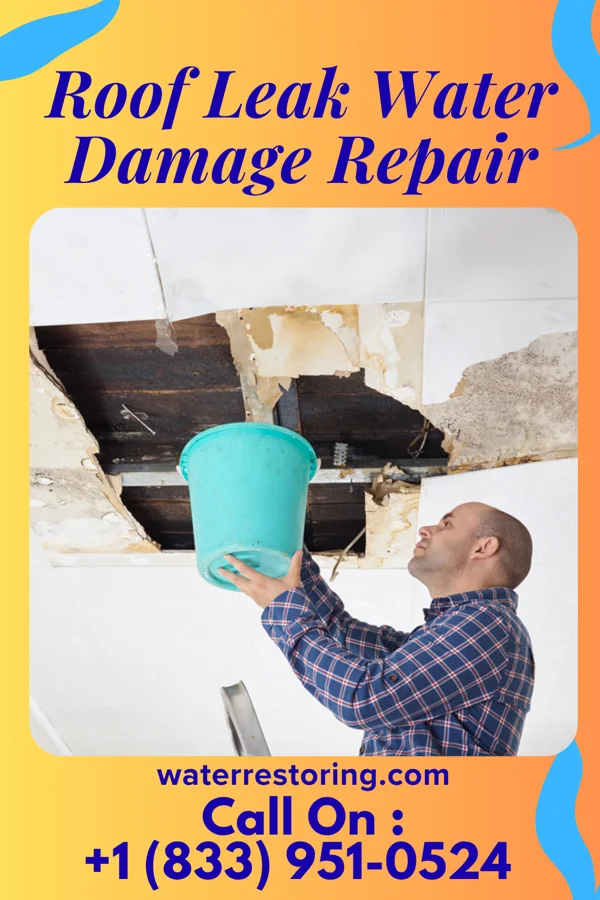 Roof Leak Water Damage Repair in Glenn Springs, SC